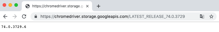 image-chromedriverversion